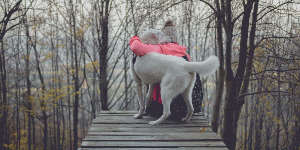 person hugging dog on bridge