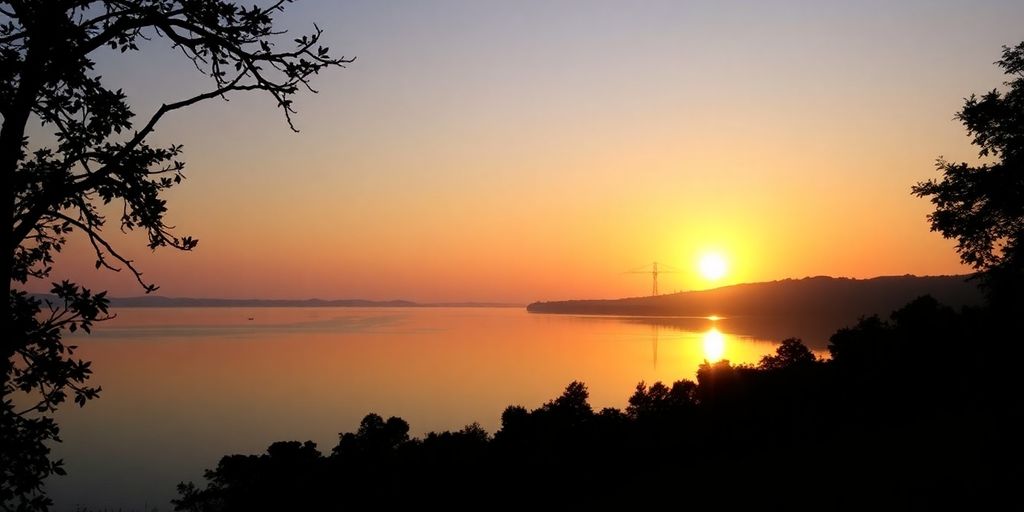 Silhouettes of trees by a tranquil sunset landscape.