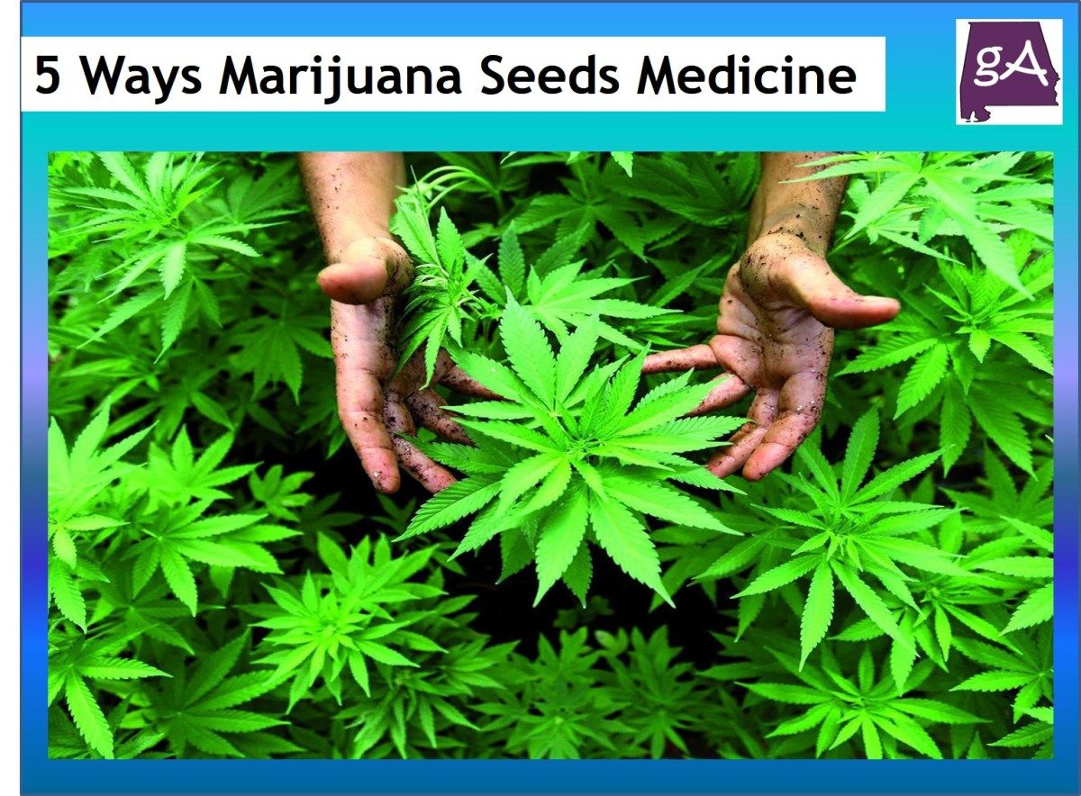 Verantwortungsvoller Umgang mit Cannabis