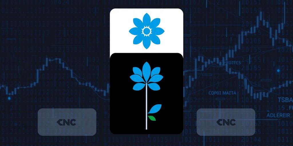 Is Bloom Bot The Best Trading Bot 2025