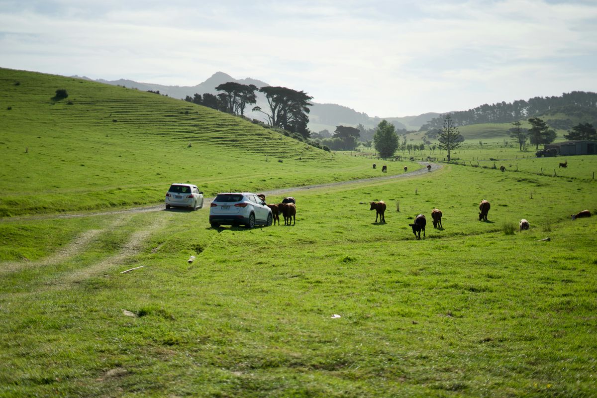 The JADAM Way: Embracing the Moo-vement