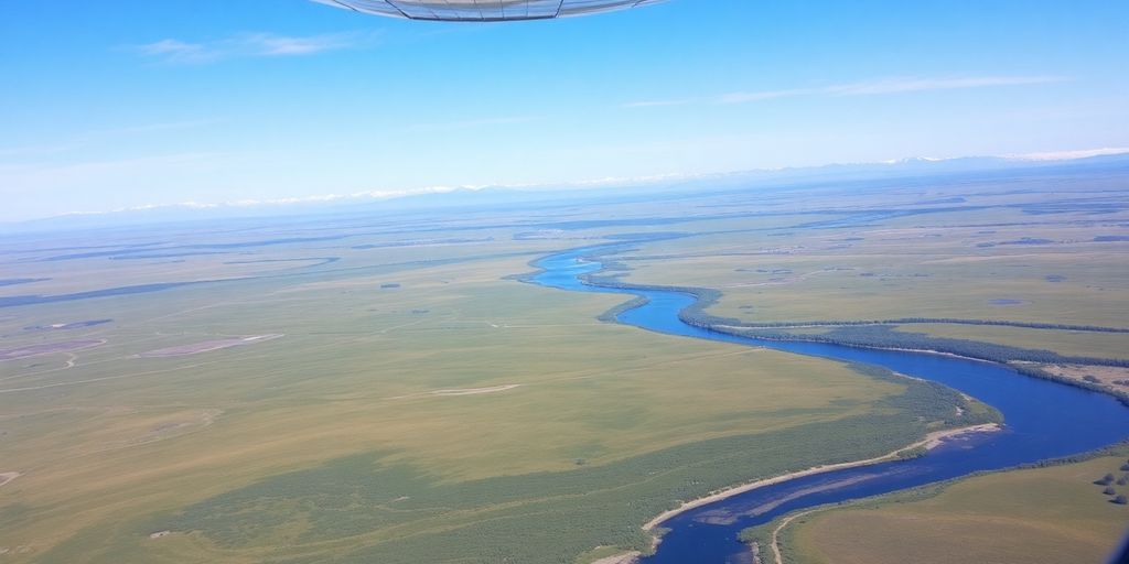 A small airplane flying over the Alaskan wilderness with moose.