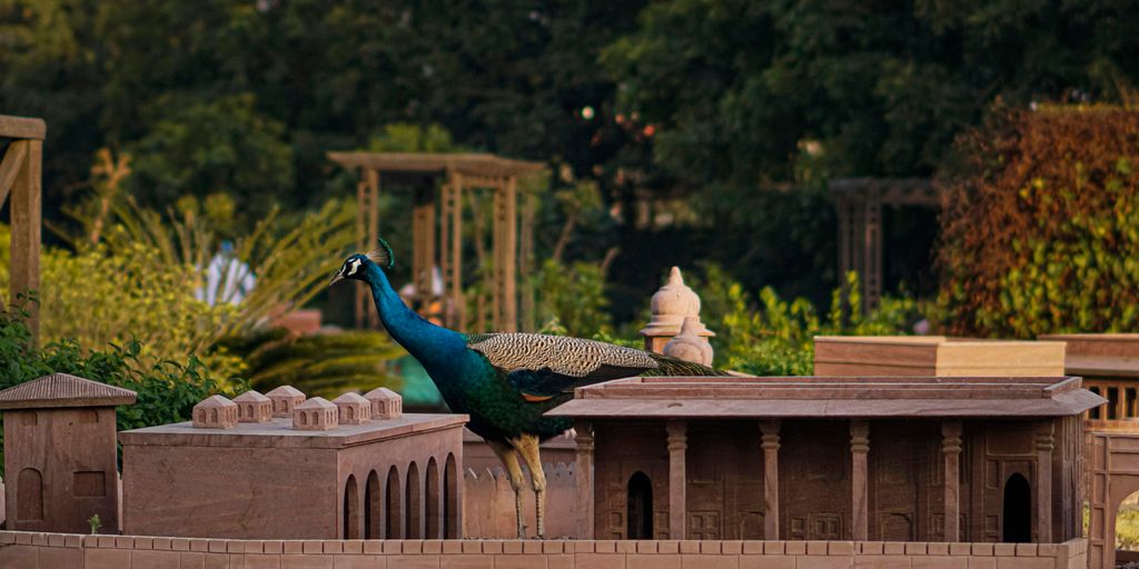 a peacock standing on top of a stone structure