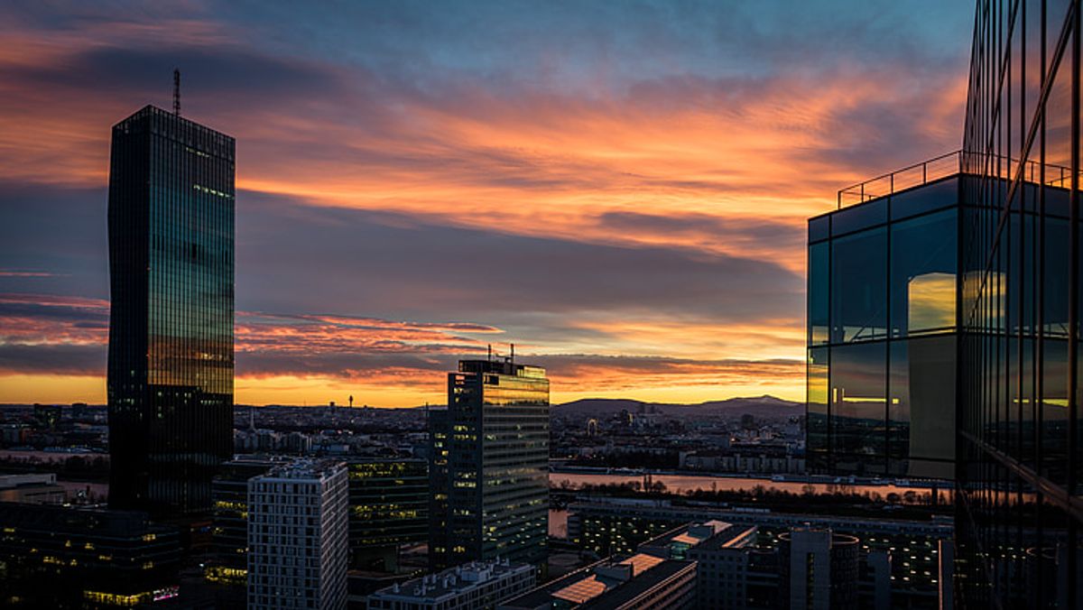 Culinary Delights: Savor Vienna's Gastronomic Scene