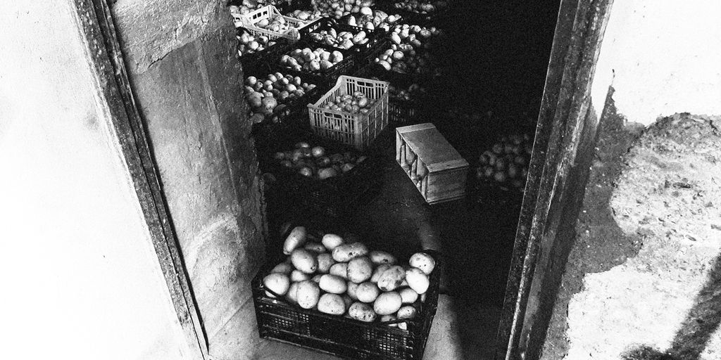 a black and white photo of a bunch of fruit
