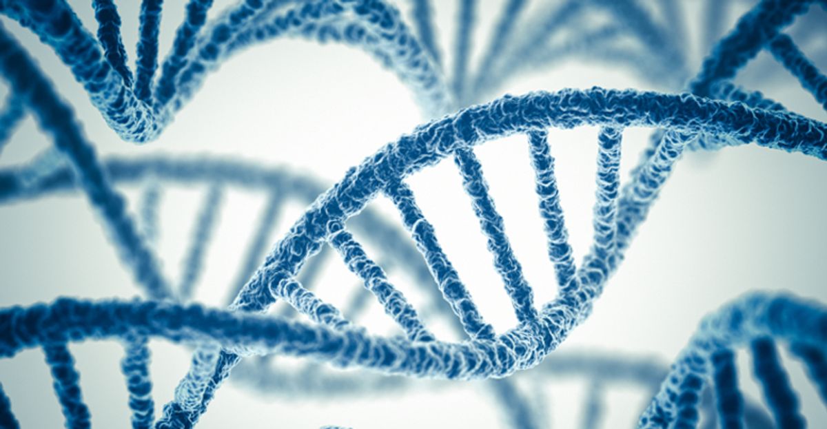 Exploring the Connection Between NAD and Neurodegenerative Diseases