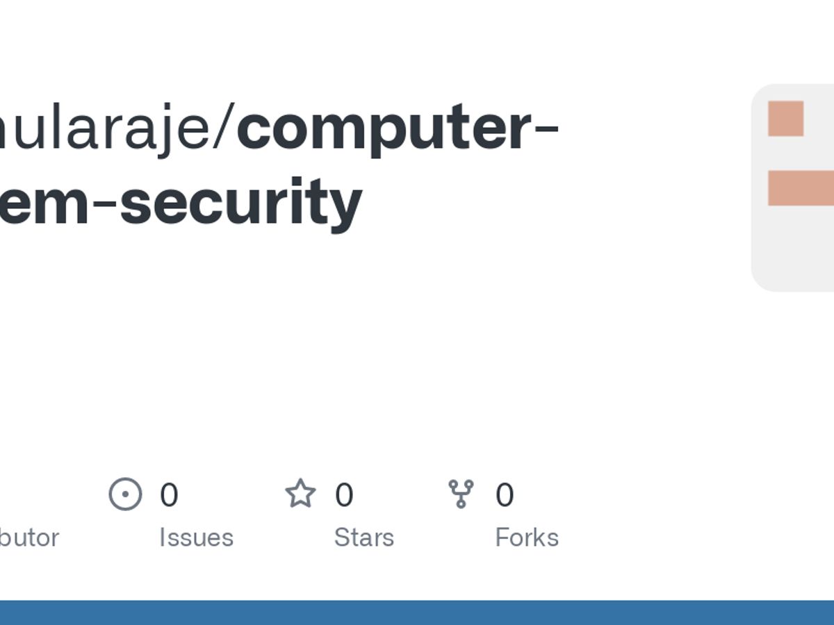 computer security