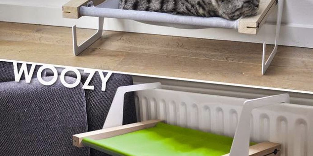 cat in a safe and cozy boarding facility