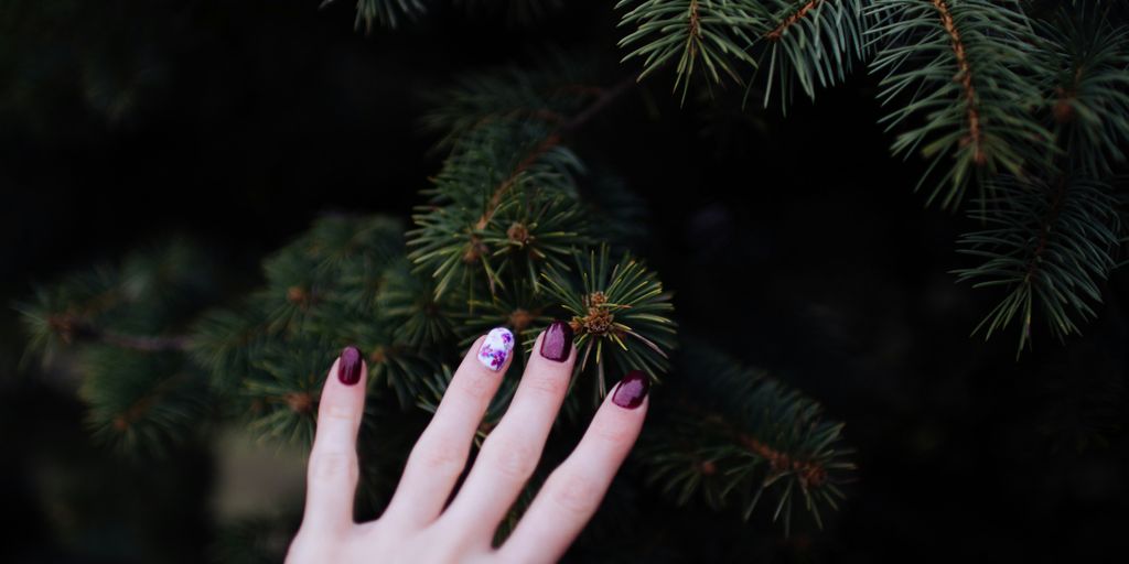 person touching green plant
