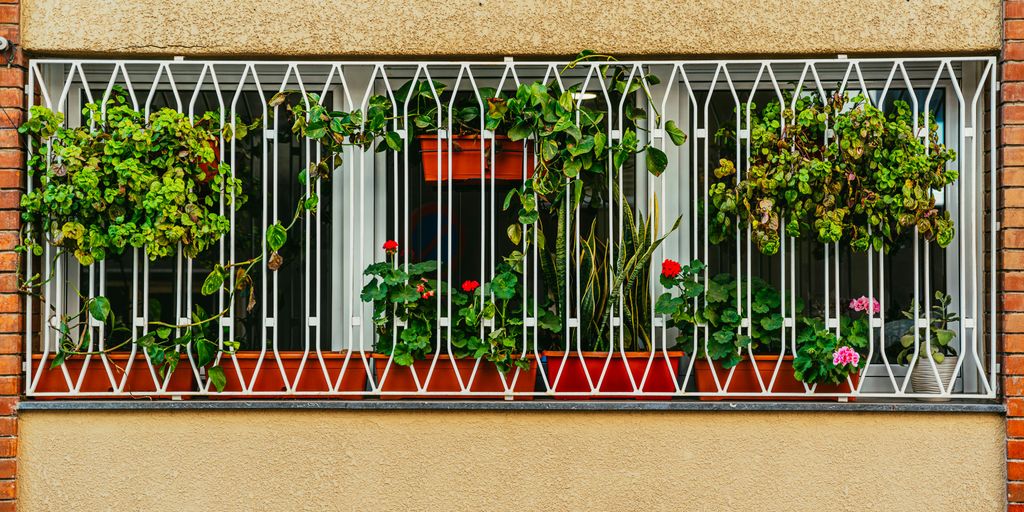 a window with a bunch of plants growing out of it
