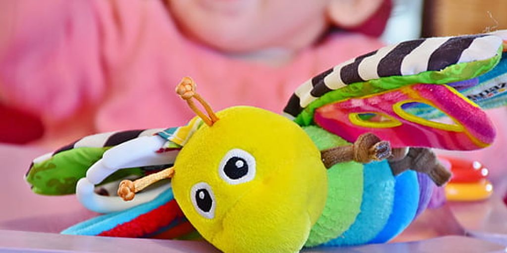 cat playing with toys in a cozy, well-lit boarding facility