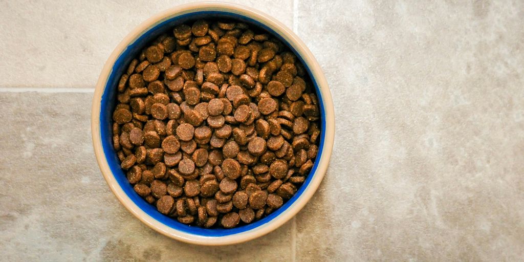 a bowl of dog food on a tile floor