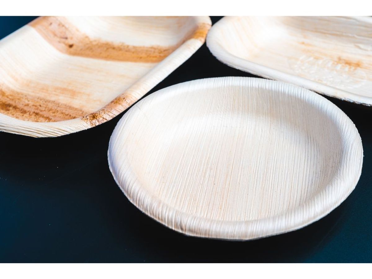 Health and Safety Benefits of Leaf Plates