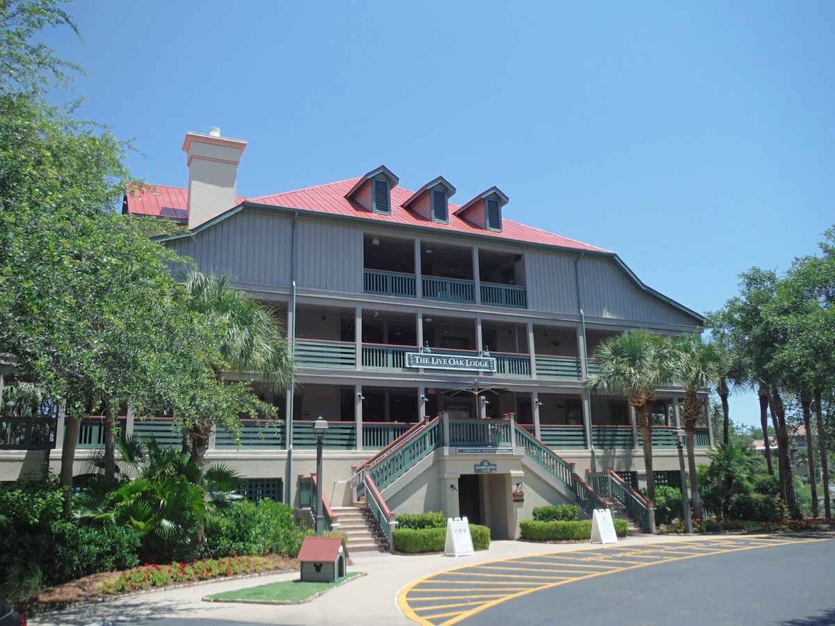 Immerse Yourself in Nature at the Coastal Discovery Museum