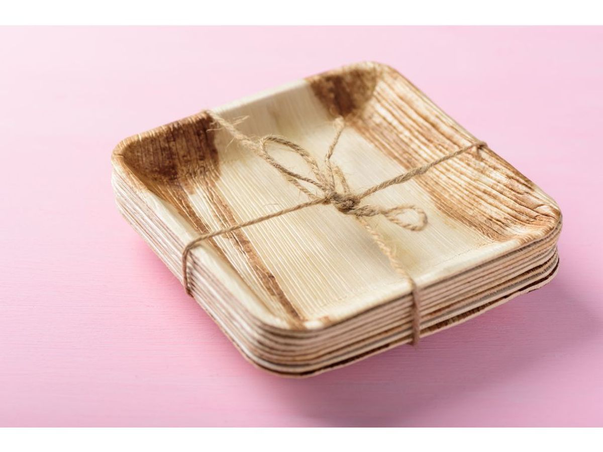 Choosing the Right Leaf Plates