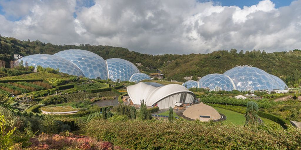 illustration of a thriving garden with various plants growing together, showcasing the concept of companion planting