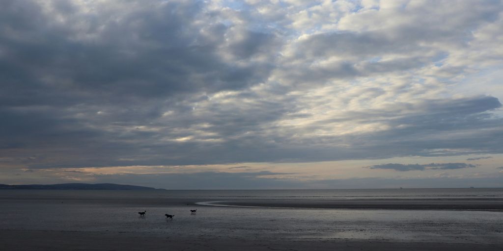 people on beach during sunset