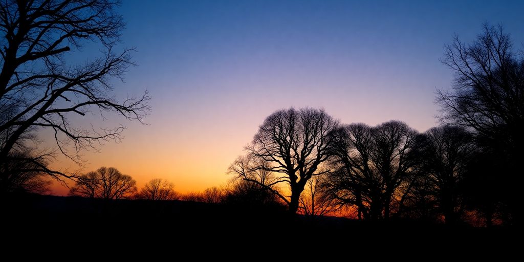 Silhouetted trees against a tranquil sunset horizon.