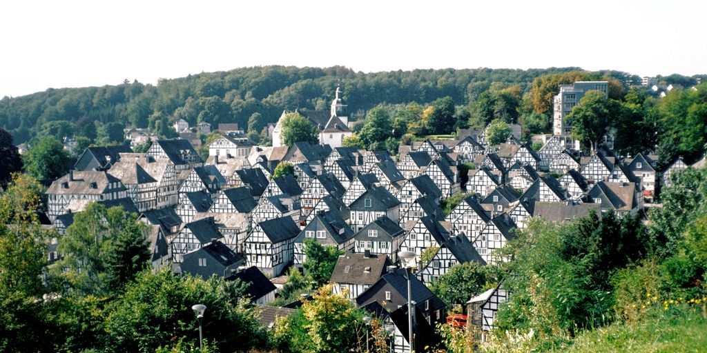 a group of houses in a wooded area