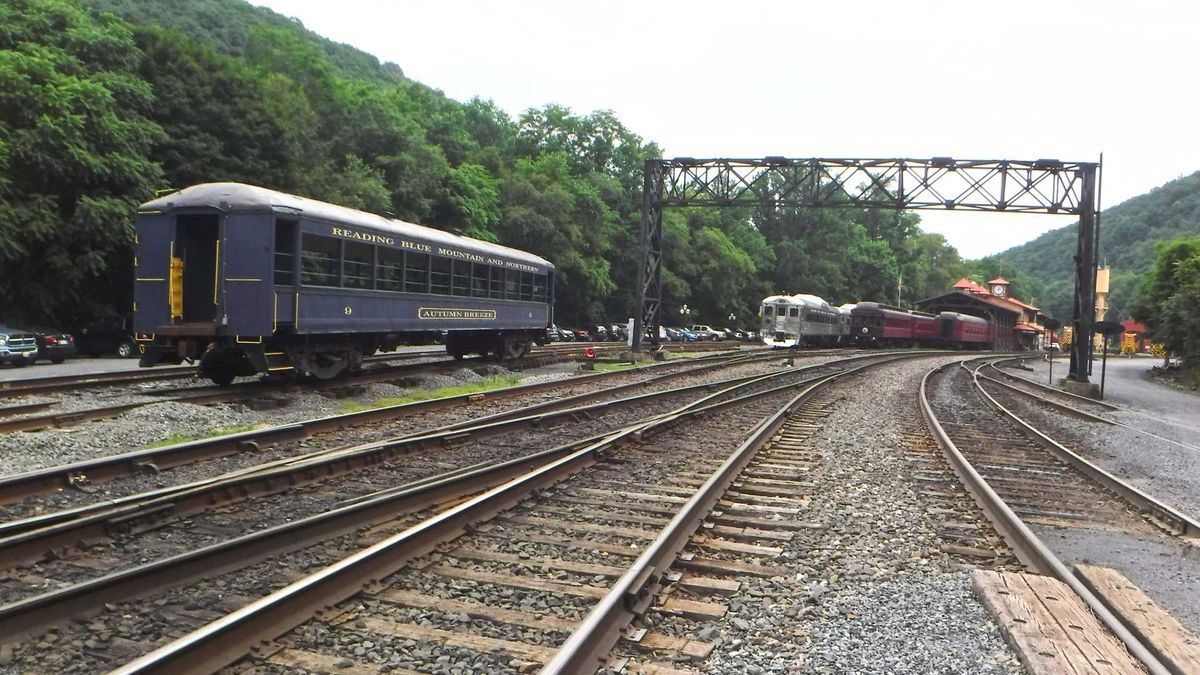 Ride the Rails: Scenic Journeys on New Zealand's Trains and Trams