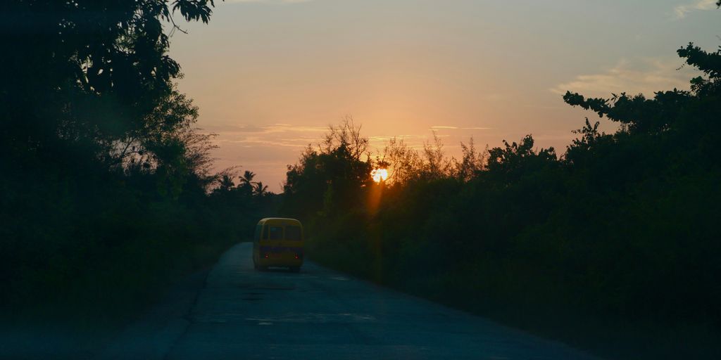 a yellow car on a road with trees on either side of it