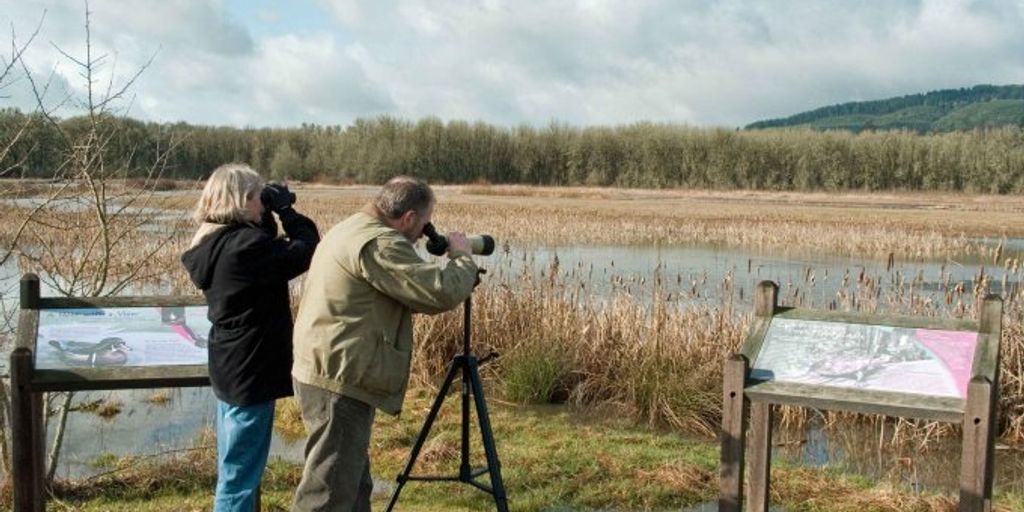 birdwatching in Huntsville Tennessee Valley outdoor nature