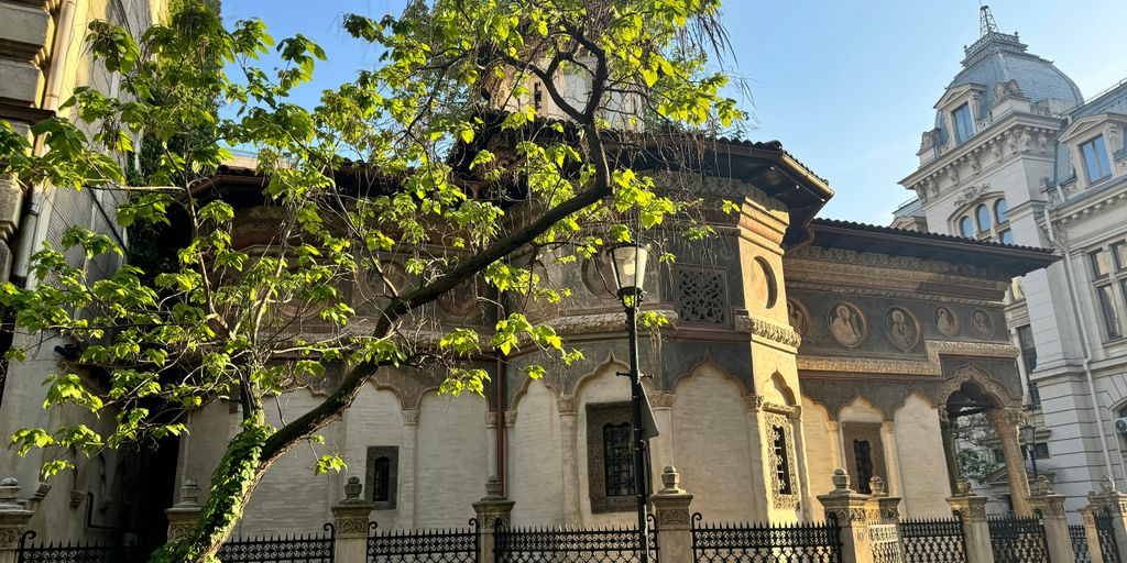 a tree in front of a building with a clock tower