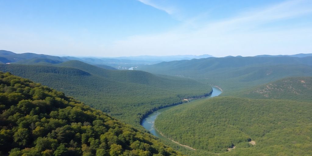 Vue aérienne de la forêt Ouachita en Oklahoma.