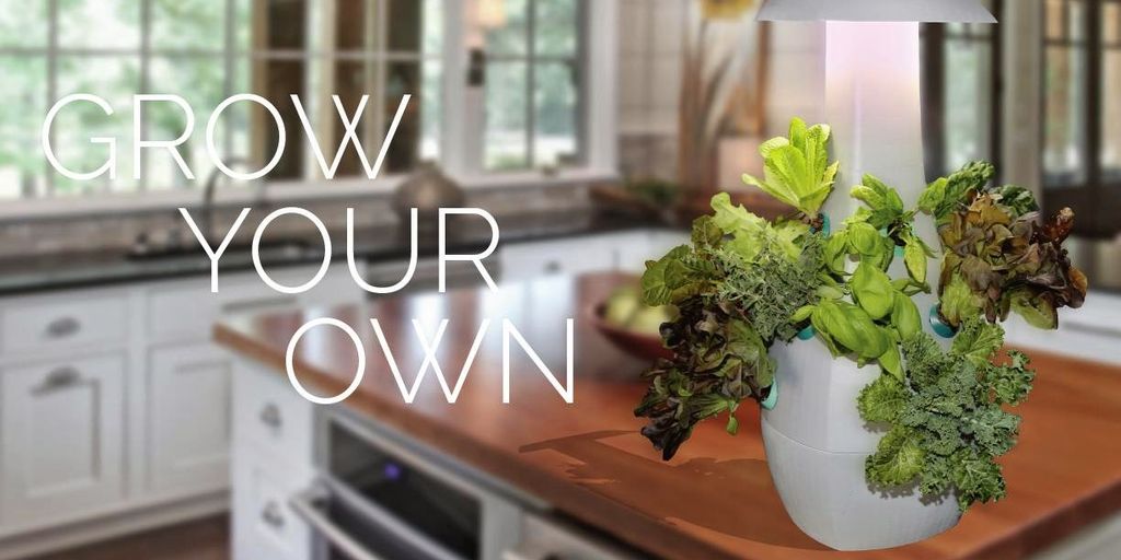 vertical gardening structures in urban setting