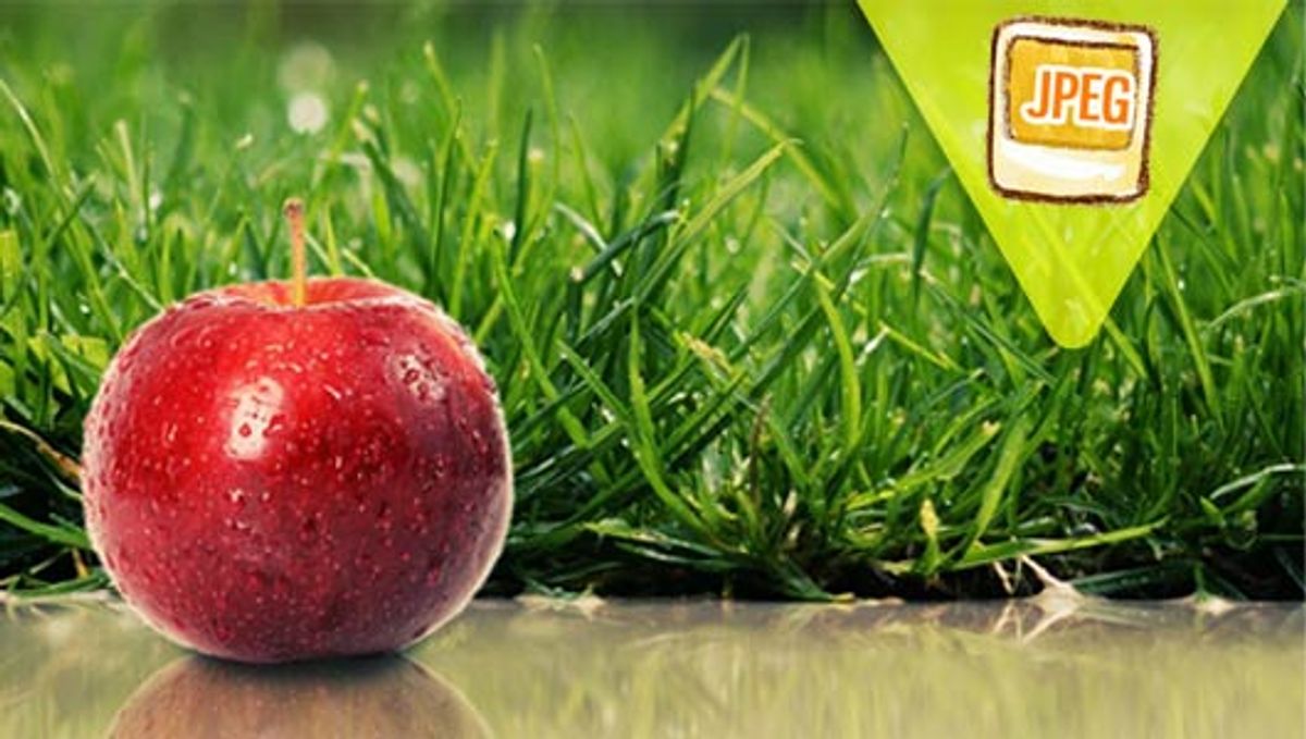 Optimizing Website Performance