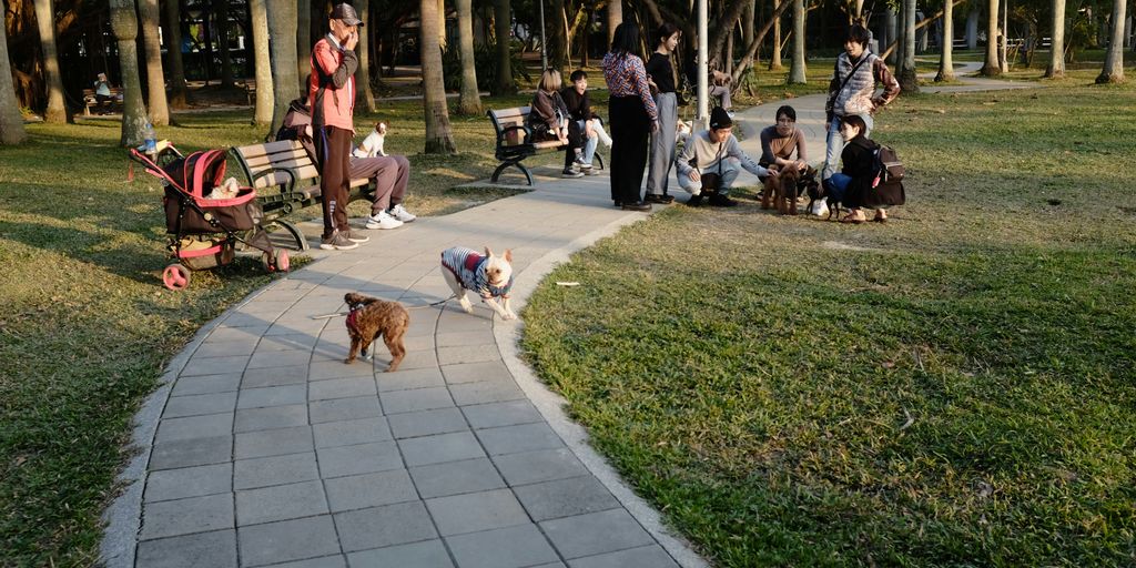 people sitting on green grass field during daytime
