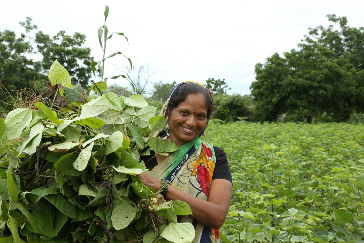Community and Knowledge Sharing in JADAM Farming