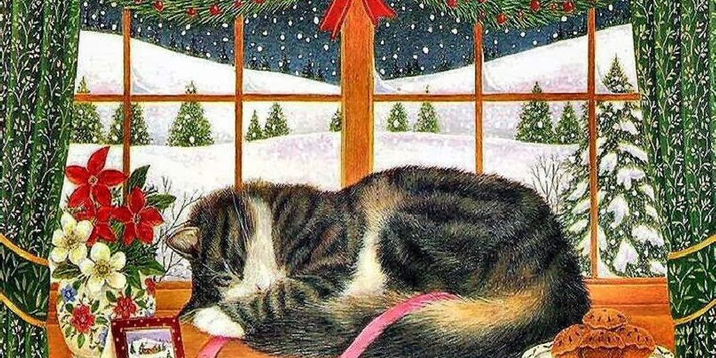 cat in a cozy boarding facility with price tags