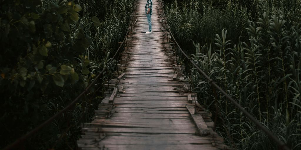 brown wooden bridge in the middle of green plants