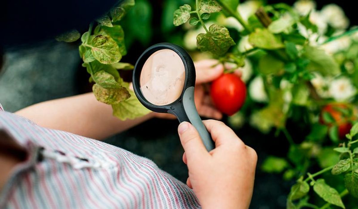 Modern Technology and Skin Concerns