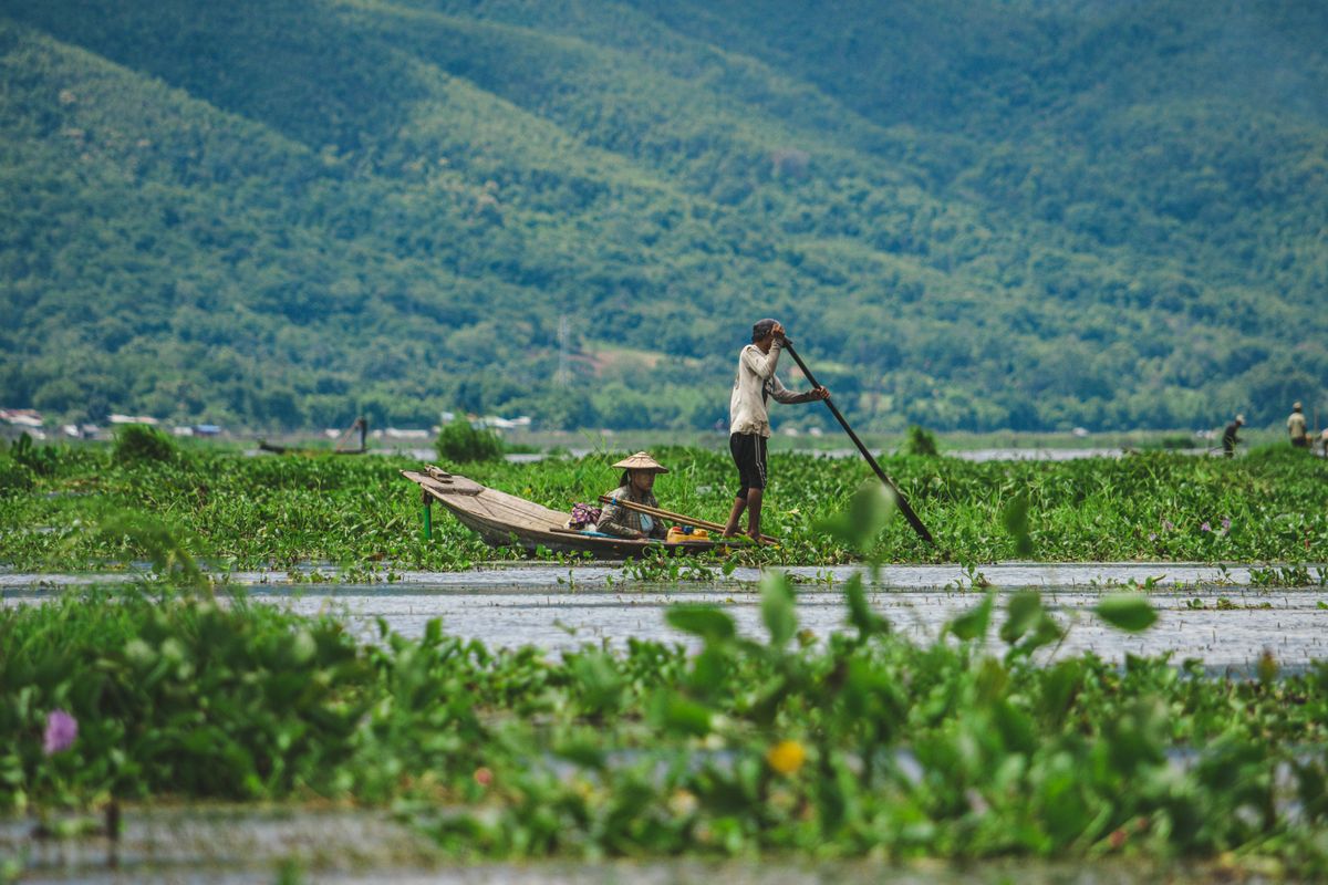 Beyond the Weeds: JADAM's Vision for Global Agriculture