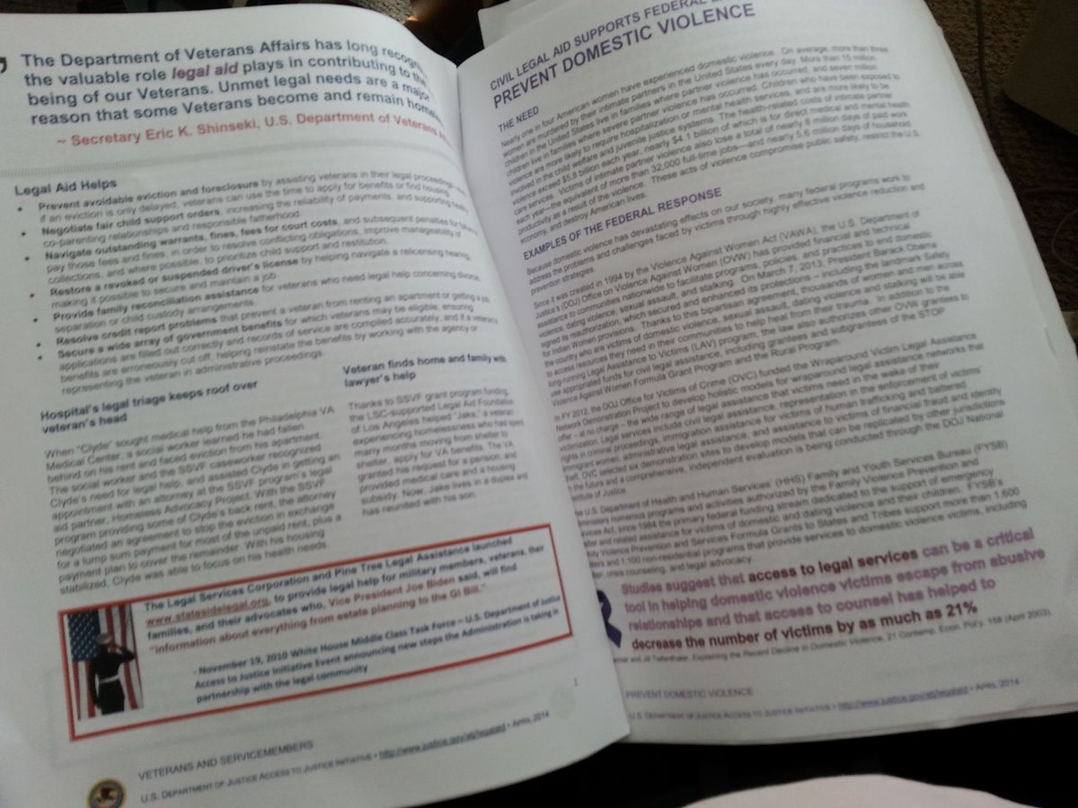 Financial Aspects of Legal Aid