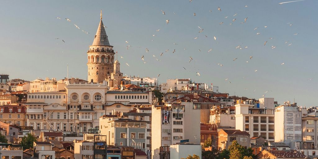 aerial view of buildings and flying birds