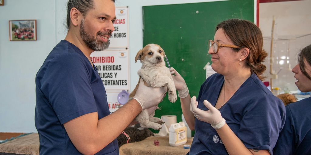 a man holding a small dog in a room