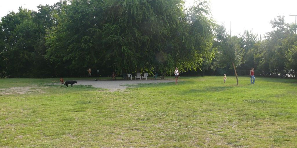 dog in a park with trails, Chesapeake