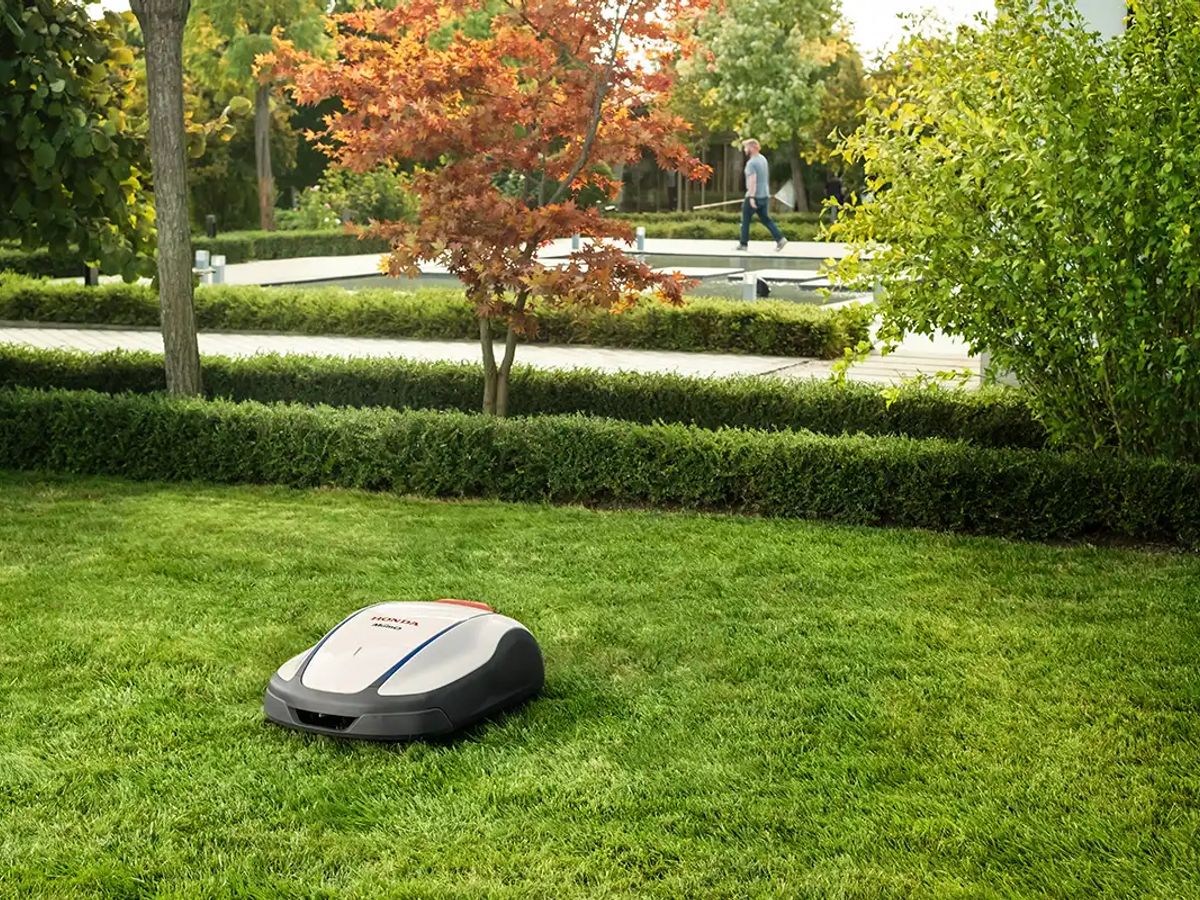 Robotic lawn mower in a green garden setting with trees.
