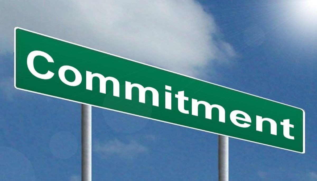 The Professional Commitment of Lawyers