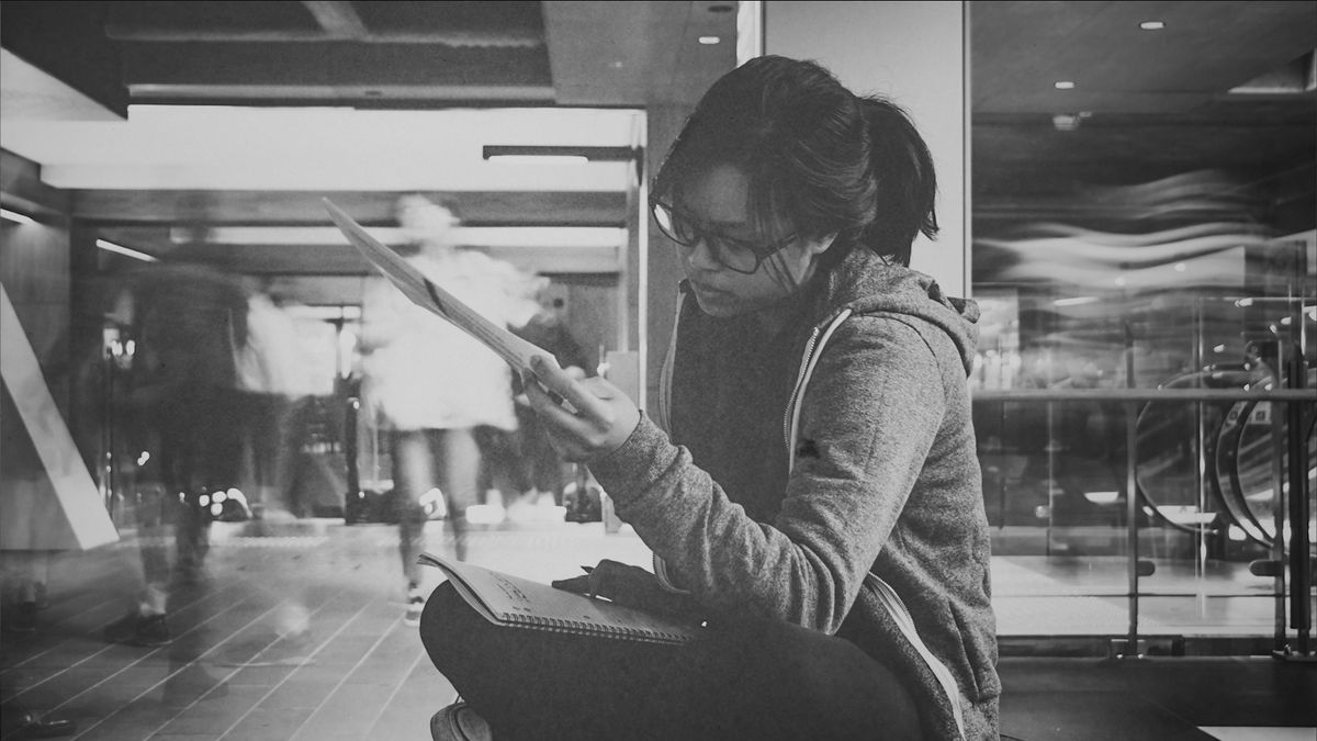 Navigating the Intersection of Aesthetics and Usability
