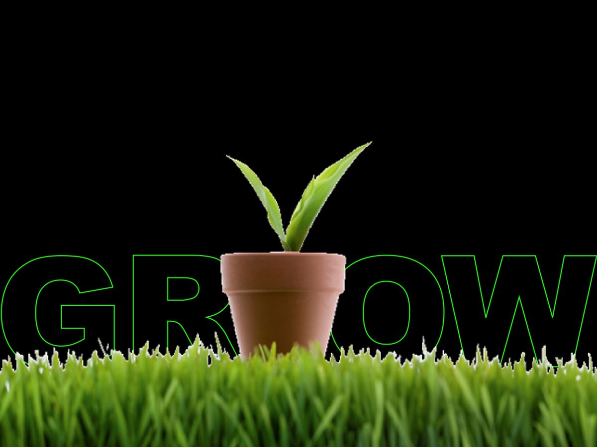 Scalability and Adaptability of AI Solutions