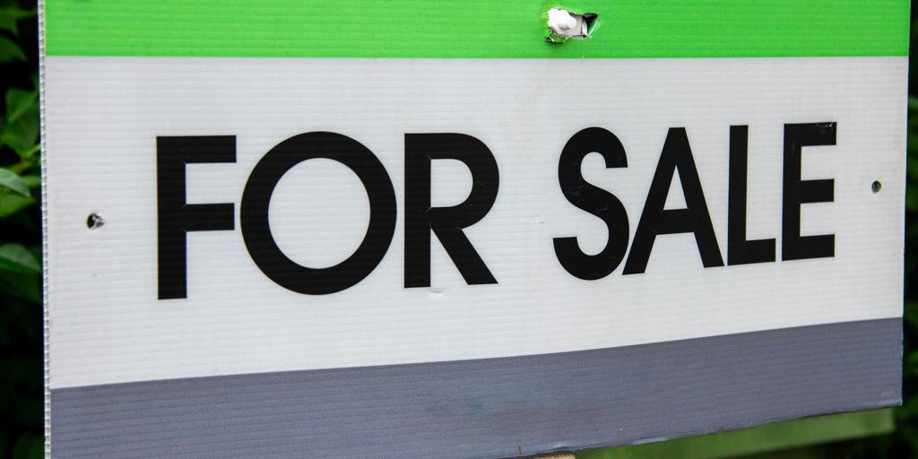 A green and white for sale sign with a bird perched on it