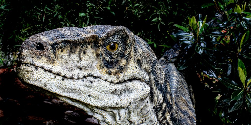 close-up photography of gray snake
