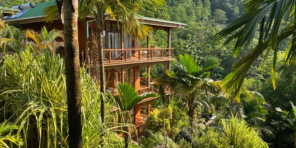 green palm tree near brown wooden house during daytime