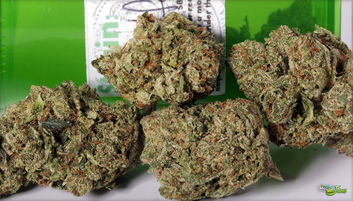 Rechtliche Beratung für Cannabis-Anbauer in Achterwehr