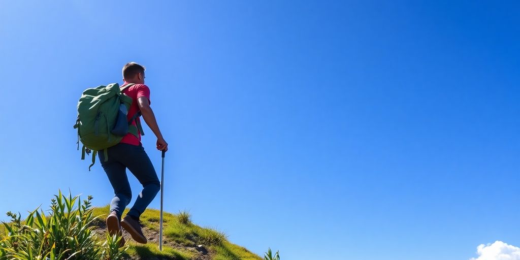 Person hiking on a mountain trail, symbolizing personal growth.