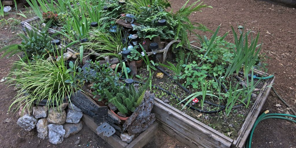 drought-tolerant plants in a water-wise garden